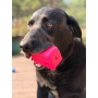 Green - MKB Surf's Up! Retro Van  Durable Chew Toy & Treat Dispenser