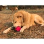 Green - MKB Surf's Up! Retro Van  Durable Chew Toy & Treat Dispenser