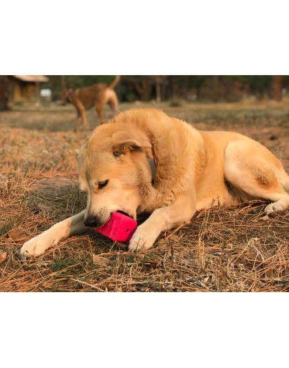 Pink - MKB Surf's Up! Retro Van  Durable Chew Toy & Treat Dispenser