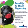 Red - SP Gift Box Durable Rubber Chew Toy & Treat Dispenser - Large