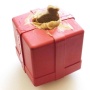 Red - SP Gift Box Durable Rubber Chew Toy & Treat Dispenser - Medium