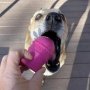 Blue - SP Ice Cream Cone Durable Rubber Chew Toy and Treat Dispenser - Medium