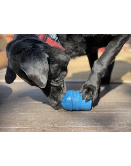 Blue - SP Ice Cream Cone Durable Rubber Chew Toy and Treat Dispenser - Medium