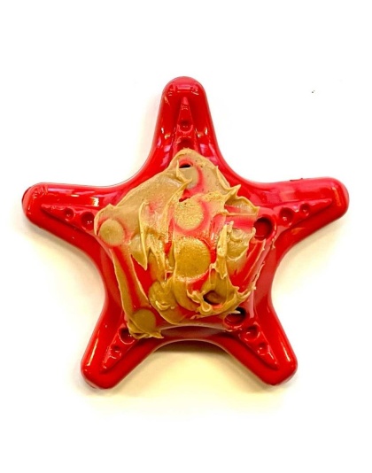 Red - Starfish Ultra Durable Nylon Dog Chew Toy for Aggressive Chewers