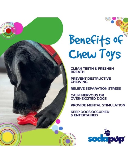Red - Starfish Ultra Durable Nylon Dog Chew Toy for Aggressive Chewers