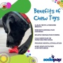 Red - Starfish Ultra Durable Nylon Dog Chew Toy for Aggressive Chewers