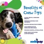 Blue - Durable Nylon Bunny Chew Toy and Enrichment Toy for Aggressive Chewers