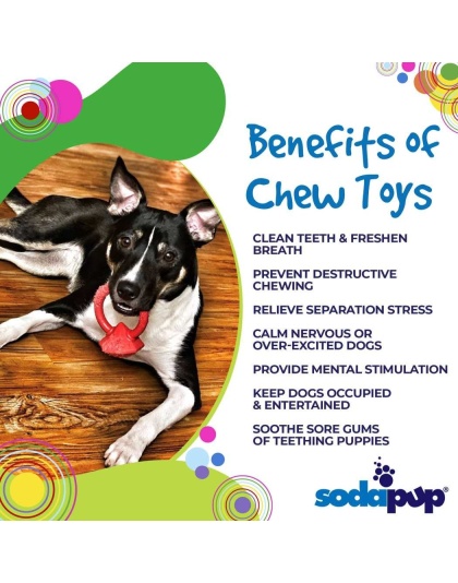 Diamond Ring Durable Teething Ring for Puppies and Aggressive Chewers
