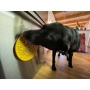 Yellow Duckies E-Mat - Duckies Design eMat Enrichment Lick Mat With Suction Cups