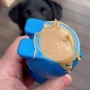 Blue - Durable Nylon Bunny Chew Toy and Enrichment Toy for Aggressive Chewers