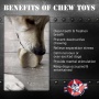 Brown - Durable Nylon Star Dog Chew Toy and Enrichment Toy for Aggressive Chewers