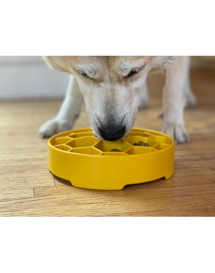 Yellow - Honeycomb Design eBowl Enrichment Slow Feeder Bowl for Dogs