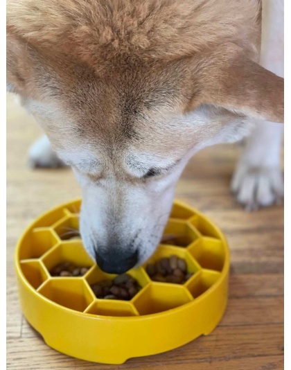 Yellow - Honeycomb Design eBowl Enrichment Slow Feeder Bowl for Dogs