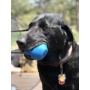 Blue - ID Double Trouble Durable Rubber Chew Toy and Treat Dispenser  - Large