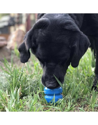 Blue - ID Double Trouble Durable Rubber Chew Toy and Treat Dispenser  - Large
