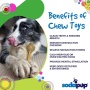 Brown - Knuckle Bone Ultra Durable Nylon Dog Chew Toy for Aggressive Chewers - Large