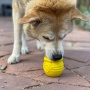 Yellow - Large Honey Pot Durable Rubber Treat Dispenser & Enrichment Toy - Large
