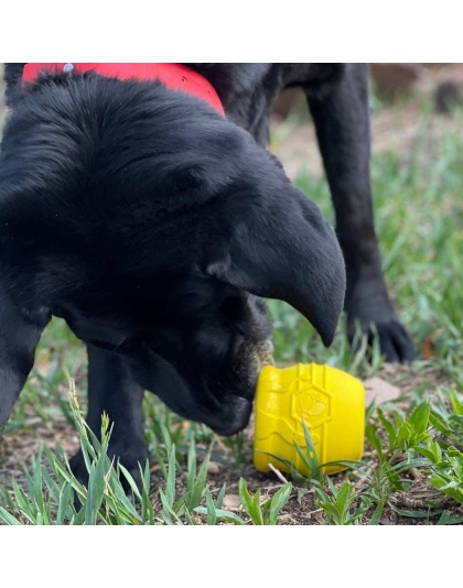 Yellow - Large Honey Pot Durable Rubber Treat Dispenser & Enrichment Toy - Large