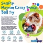 Black - Magnum Crazy Bounce Ultra Durable Rubber Chew & Retrieving Toy - Large