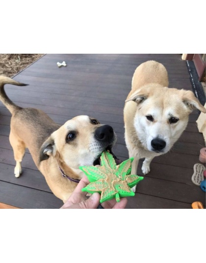 Green - MKB Colorado Maple Leaf Durable Nylon Dog Chew Toy for Aggressive Chewers