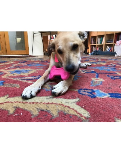 Pink - MKB Bone Ultra Durable Nylon Dog Chew Toy for Aggressive Chewers