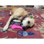 Pink - MKB Bone Ultra Durable Nylon Dog Chew Toy for Aggressive Chewers