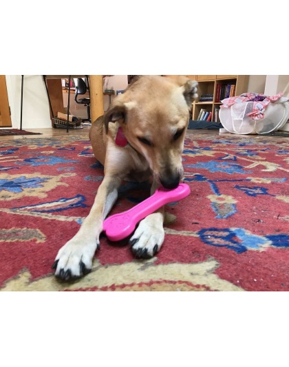 Pink - MKB Bone Ultra Durable Nylon Dog Chew Toy for Aggressive Chewers