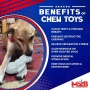 White - MKB Snowman Ultra Durable Nylon Dog Chew Toy for Aggressive Chewers