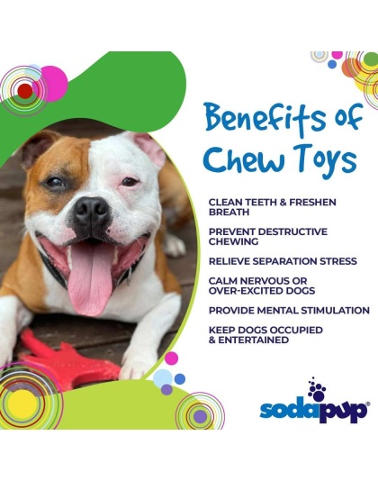 Red - SP Electric Guitar Ultra Durable Nylon Dog Chew Toy for Aggressive Chewers