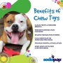 Red - SP Electric Guitar Ultra Durable Nylon Dog Chew Toy for Aggressive Chewers