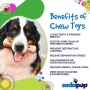Brown - SP MOD Bone Ultra Durable Nylon Dog Chew Toy for Aggressive Chewers - Large