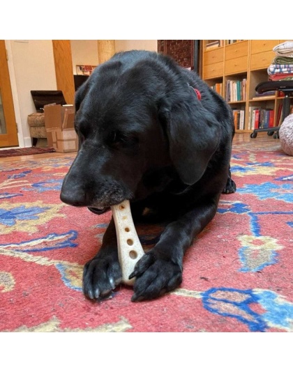 Brown - SP MOD Bone Ultra Durable Nylon Dog Chew Toy for Aggressive Chewers - Large