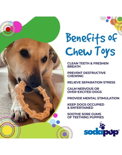 SP Honey Bone Chicken Flavored Teething Ring for Aggressive Chewers
