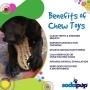 Brown - SP Peanut Ultra Durable Nylon Dog Chew Toy for Aggressive Chewers