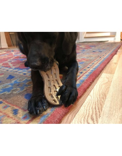 Brown - SP Peanut Ultra Durable Nylon Dog Chew Toy for Aggressive Chewers