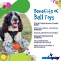 Orange - SP Smile Ball Ultra Durable Synthetic Rubber Chew Toy & Floating Retrieving Toy  - Medium