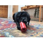 Red - SP Retro Soda Can Durable Rubber Chew Toy and Treat Dispenser - Large