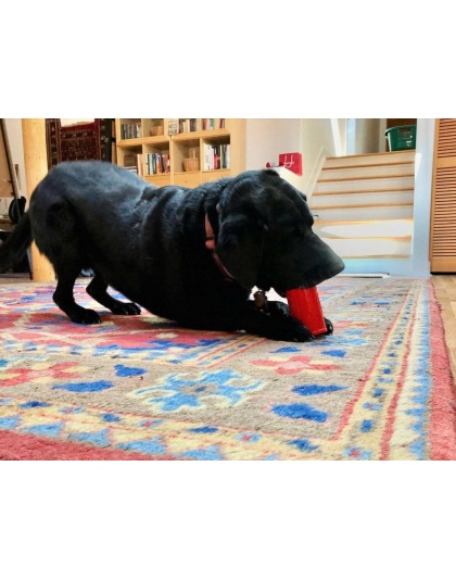 Red - SP Retro Soda Can Durable Rubber Chew Toy and Treat Dispenser - Large