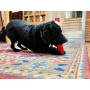 Red - SP Retro Soda Can Durable Rubber Chew Toy and Treat Dispenser - Large