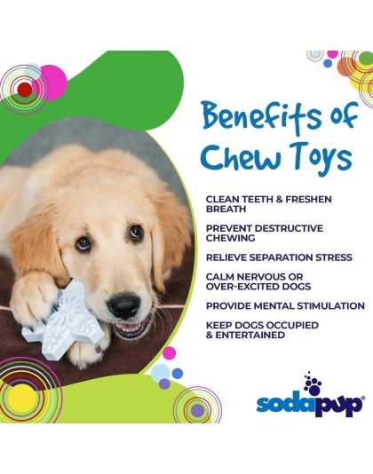 White - SP Snowflake Ultra Durable Nylon Dog Chew Toy for Aggressive Chewers