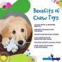 White - SP Snowflake Ultra Durable Nylon Dog Chew Toy for Aggressive Chewers
