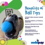 Blue - SP Wag Ball Ultra Durable Synthetic Rubber Chew Toy & Floating Retrieving Toy - Large