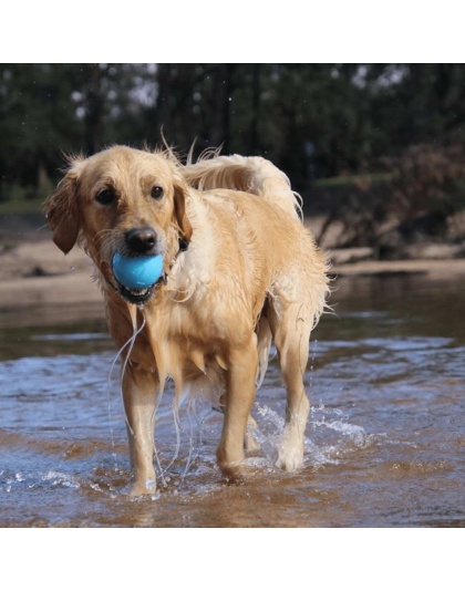 Blue - SP Wag Ball Ultra Durable Synthetic Rubber Chew Toy & Floating Retrieving Toy - Large
