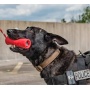 Red - USA-K9 Firecracker Durable Rubber Floating Training Dummy  - Large
