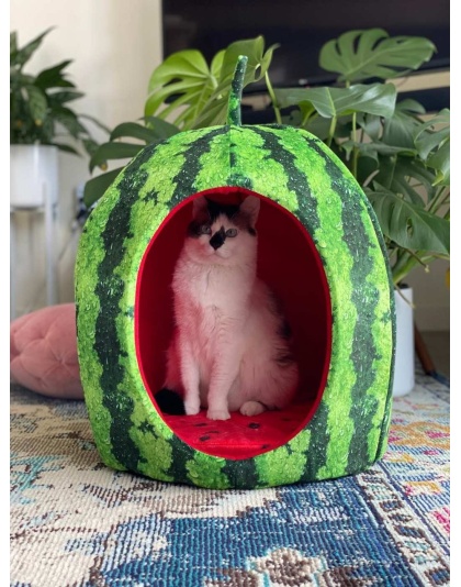 YML Watermelon Pet Bed House