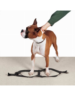 Black - CC Nylon 2 Step Harness 15-25In Blk - 15-25in