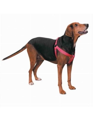 Pink - CC Nylon 2 Step Harness 15-25In Pnk - 15-25in