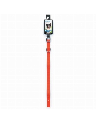 Neon Orange - DGR 1/2in Nylon Collar 16in Neon Org - 16in