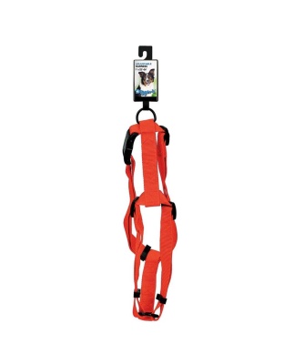Neon Orange - DGR 1in Adjustable Harness Neon Org