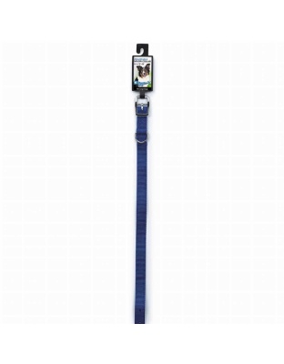 Blue - DGR 3/4in Nylon Collar 20in Blue - 20in